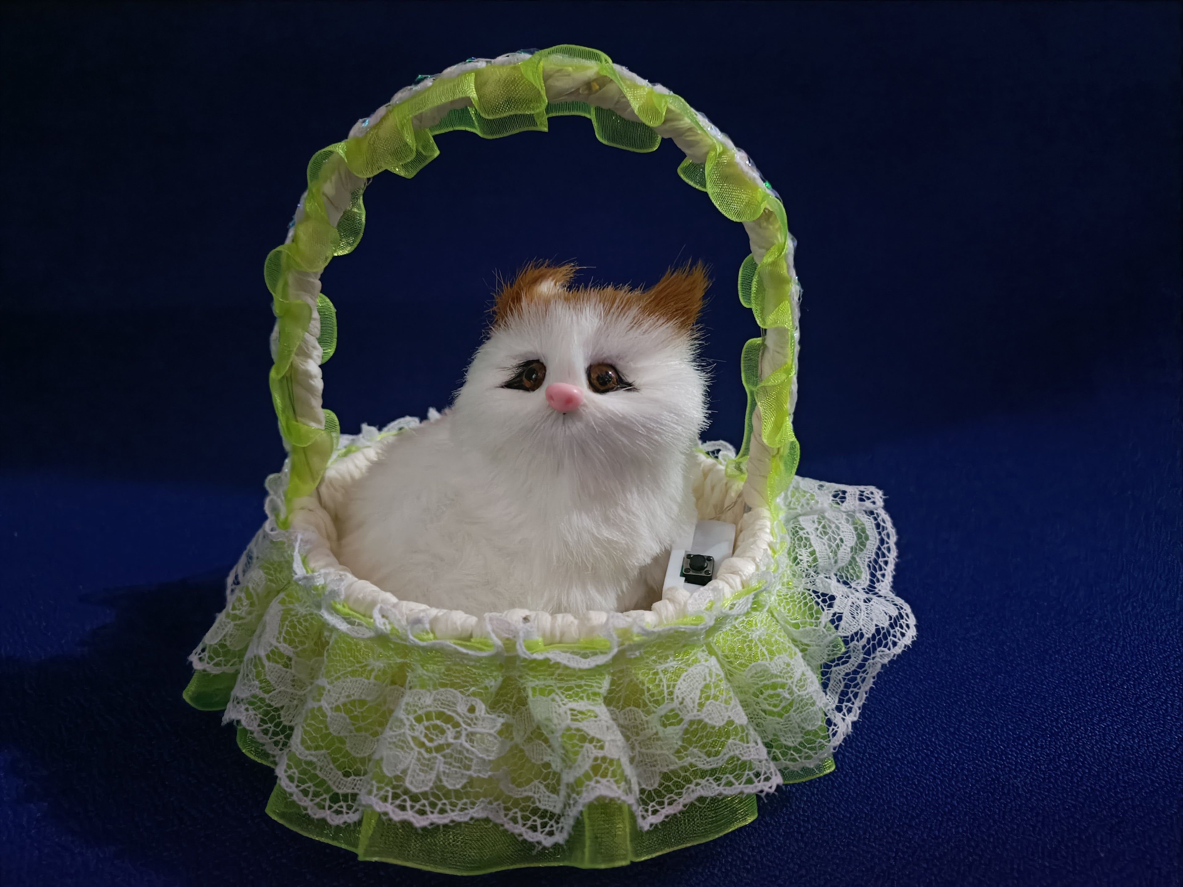 Kitty in Basket