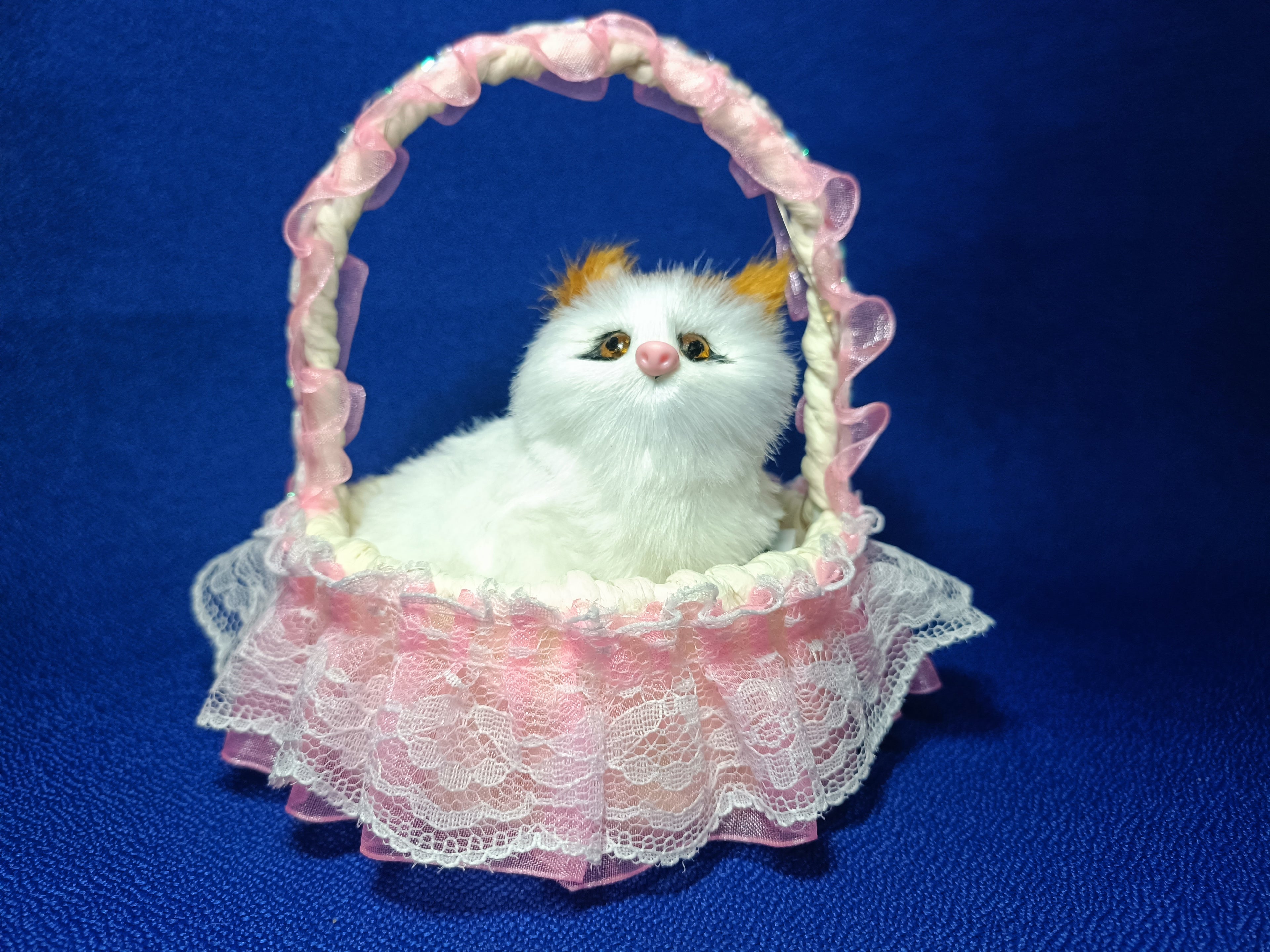 Kitty in Basket